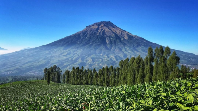 Pesona Panorama Alam Wisata Taman Posong