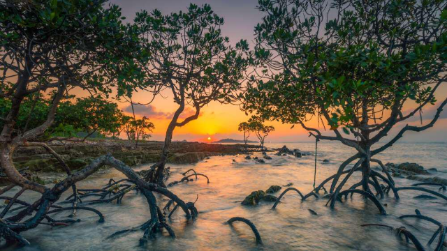 Rekomendasi Tempat Healing di Batam Untuk Refreshing