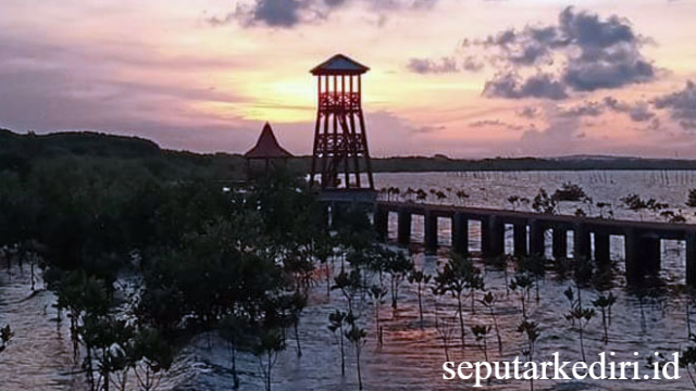 Pantai Tambak Bahak: Surga Tersembunyi di Pesisir Madura